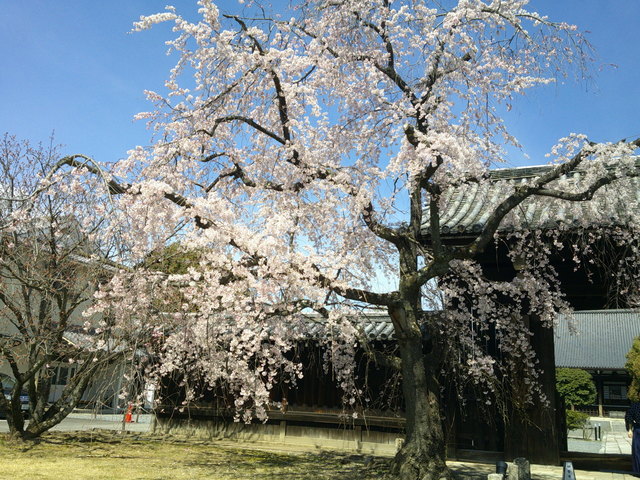 DSCF0003.JPG