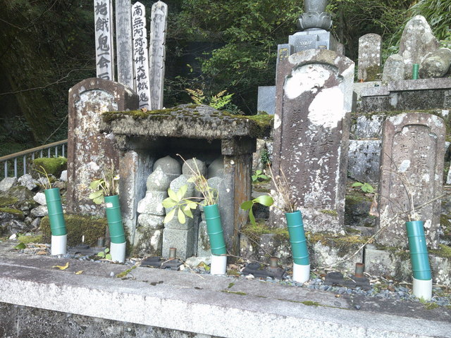 DSCF0668.JPG