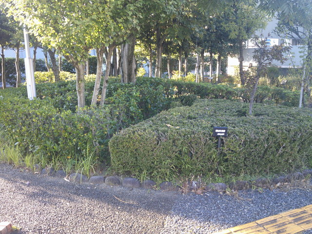 DSCF0532.JPG
