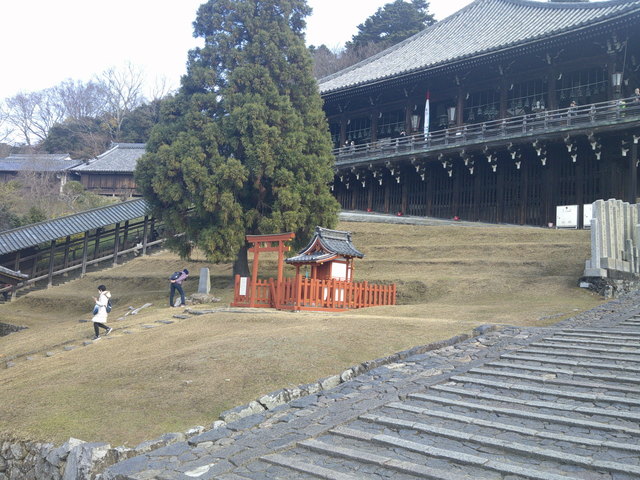 DSCF0130.JPG