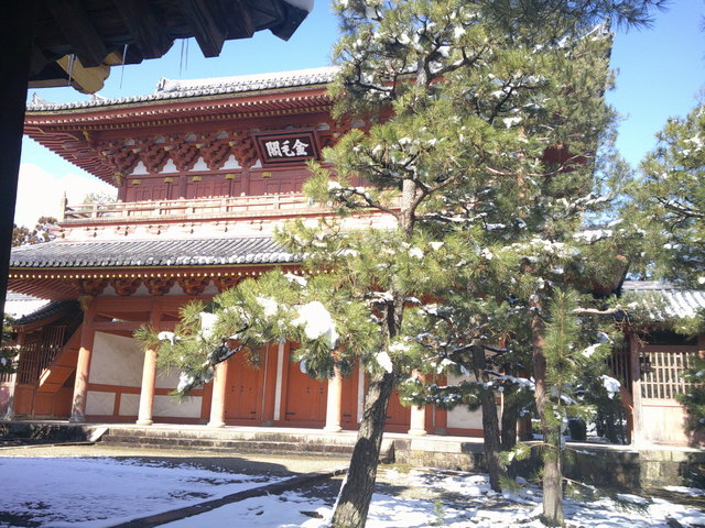 DSCF0508.JPG