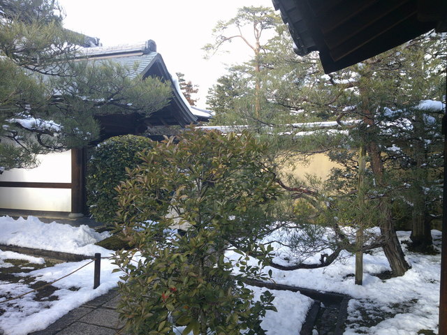 DSCF0521.JPG